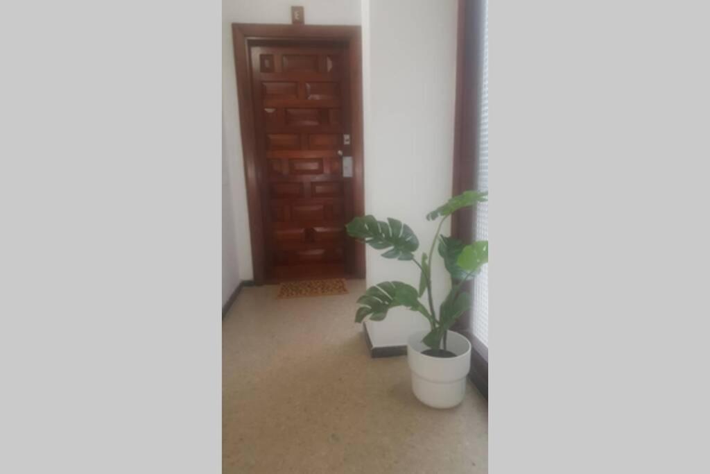 Appartement Victoria 51. à Las Palmas de Gran Canaria Extérieur photo